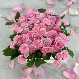 Dreaming in Pink
