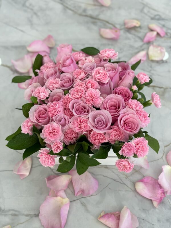 Dreaming in Pink