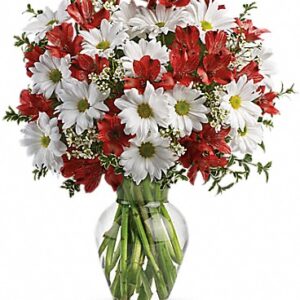 DANCING IN DAISIES BY TELEFLORA